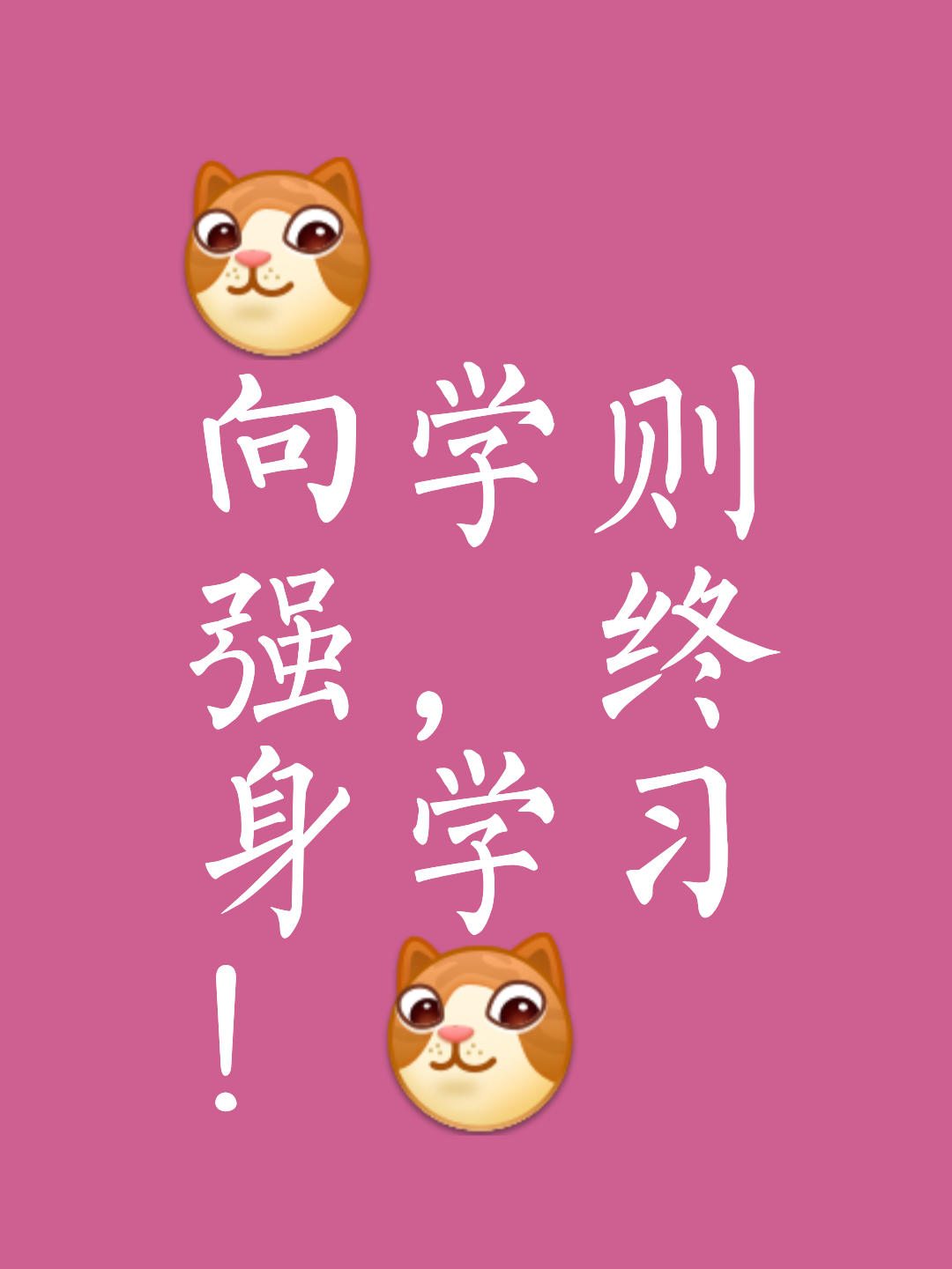 我每天都在学习进步我会做一切必要的努力来提升自己(每天我都在进步三年级作文)